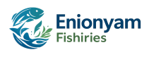 Enionyam Fishiries