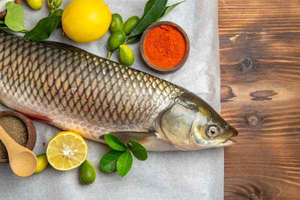 Tilapia
